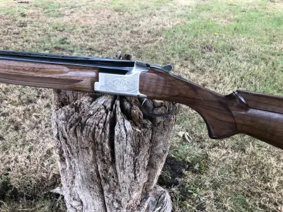 Gun Image 2