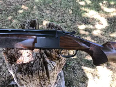Gun Image 2
