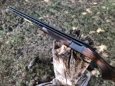 Gun Image 8