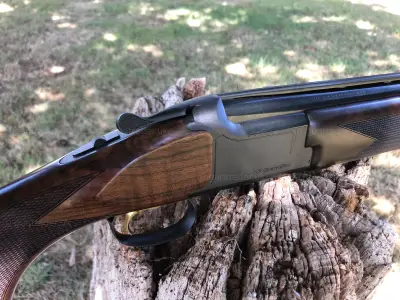 Gun Image 7