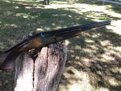 Gun Image 6