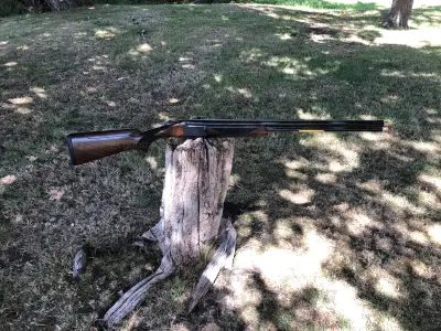 Gun Image 5