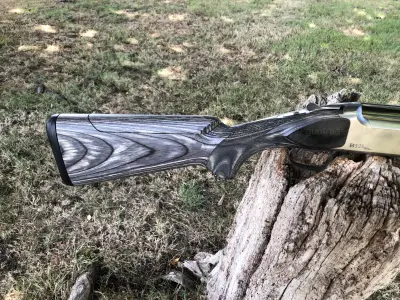 Gun Image 3