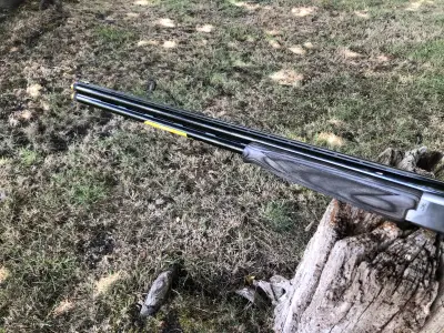 Gun Image 7