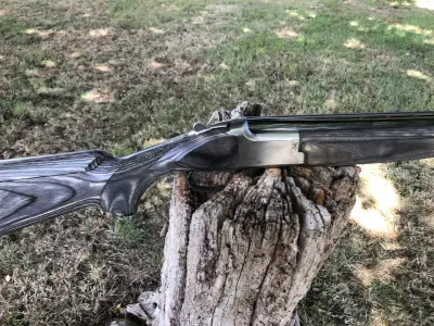 Gun Image 1