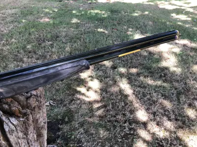 Gun Image 2