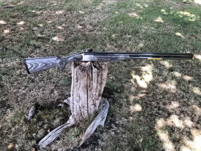 Gun Image 4