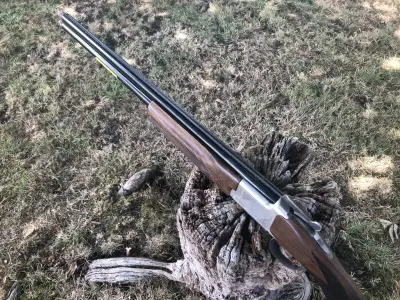 Gun Image 7