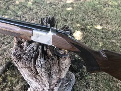 Gun Image 6