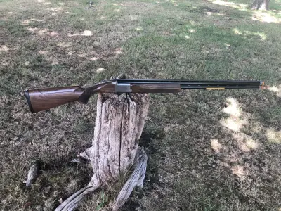Gun Image 2