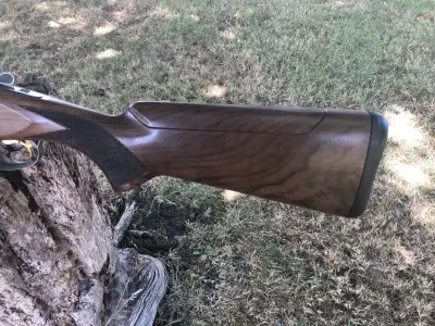 Gun Image 5