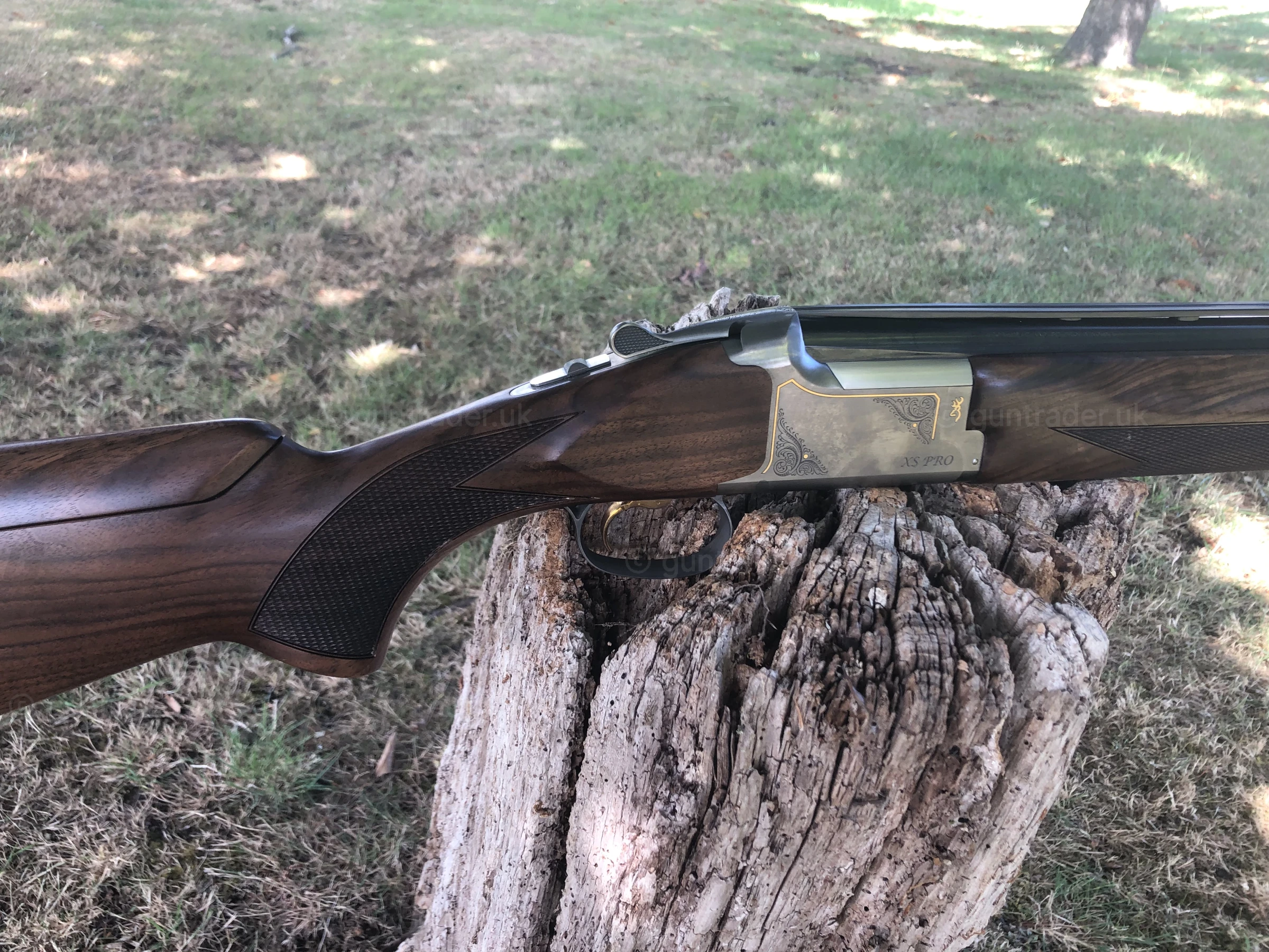 Photo of this gun