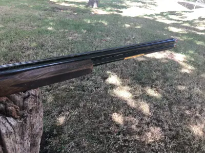 Gun Image 1