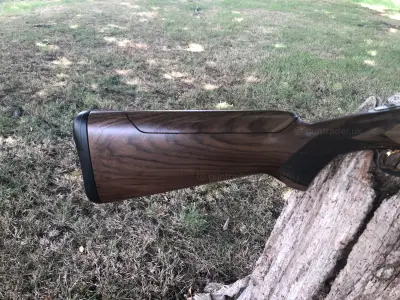 Gun Image 3