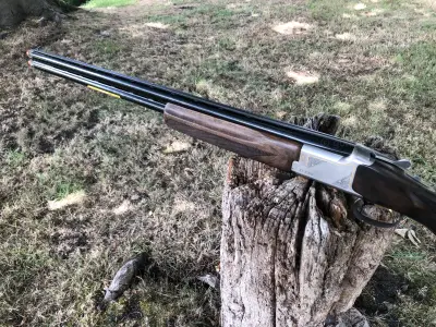 Gun Image 5