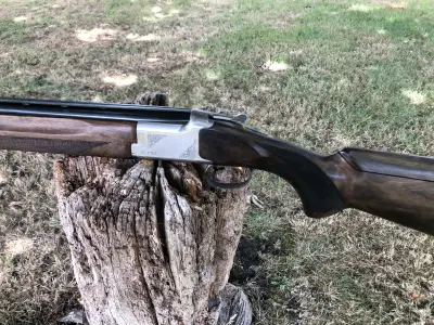 Gun Image 1