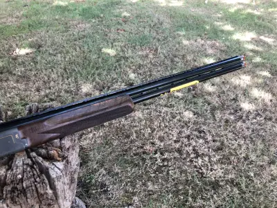 Gun Image 3