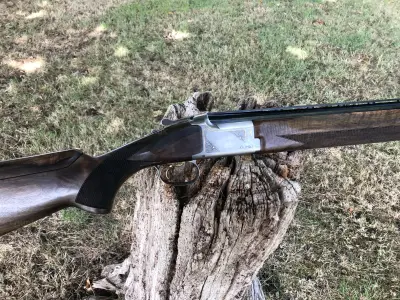 Gun Image 4