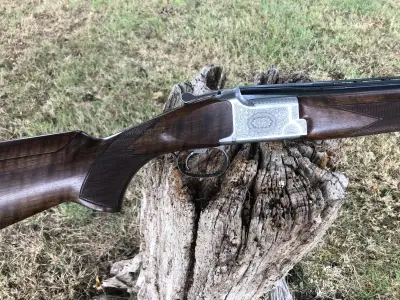 Gun Image 3