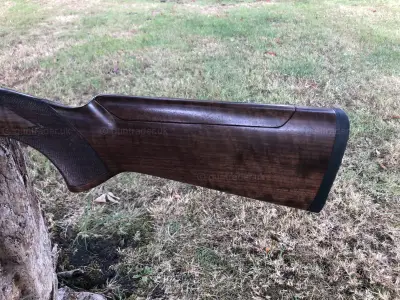 Gun Image 1