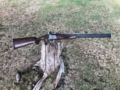 Gun Image 7