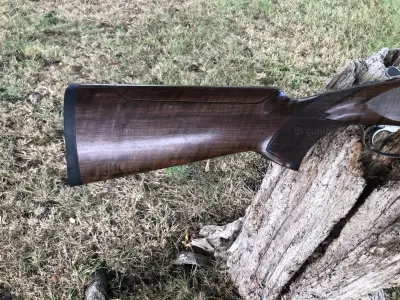 Gun Image 2