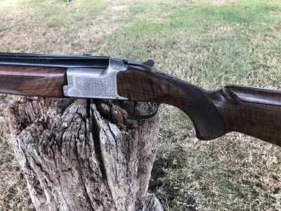 Gun Image 3