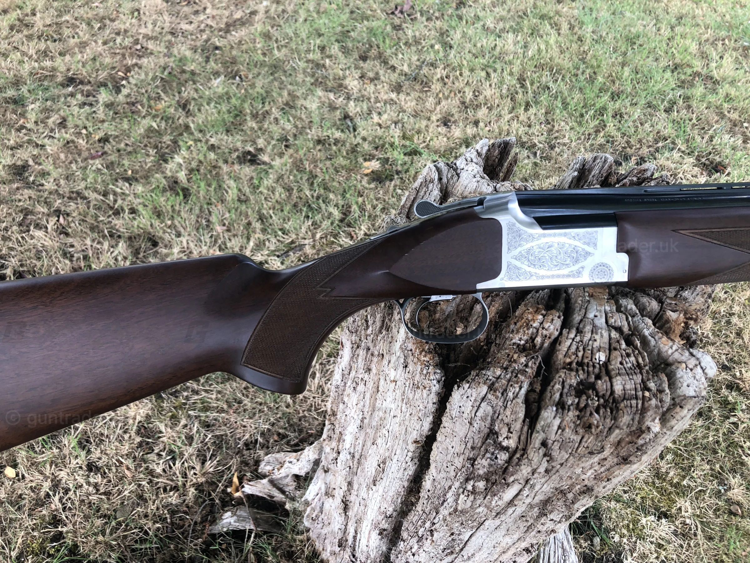 Photo of this gun
