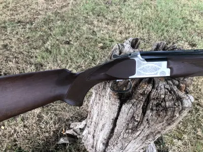 Gun Image 2