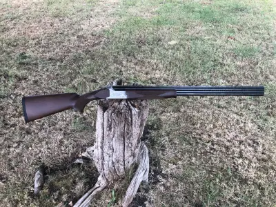 Gun Image 5