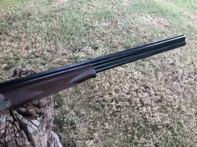 Gun Image 3