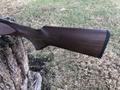 Gun Image 3