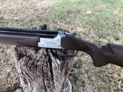 Gun Image 2