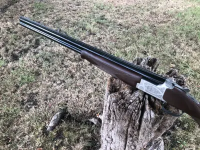 Gun Image 1