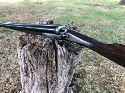 Gun Image 5
