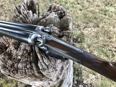 Gun Image 3