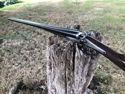 Gun Image 7