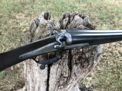Gun Image 4