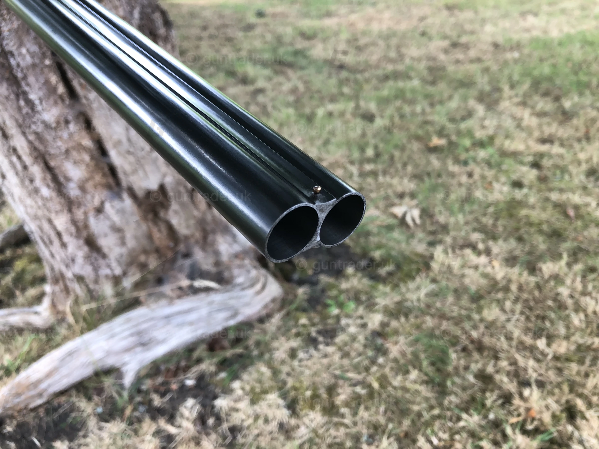 Photo of this gun