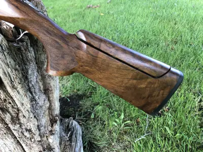 Gun Image 4