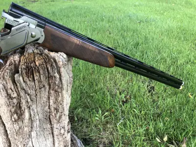 Gun Image 5