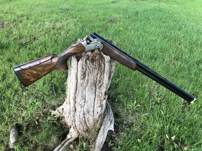 Gun Image 6