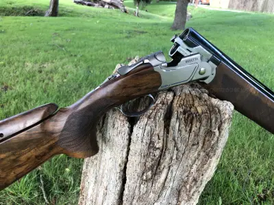 Gun Image 3