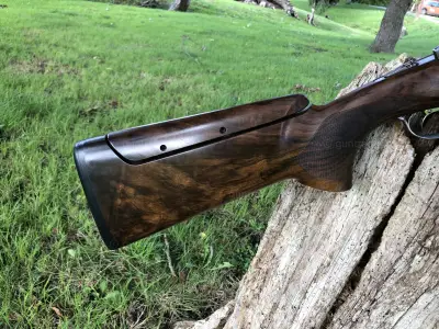 Gun Image 1