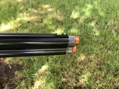 Gun Image 1