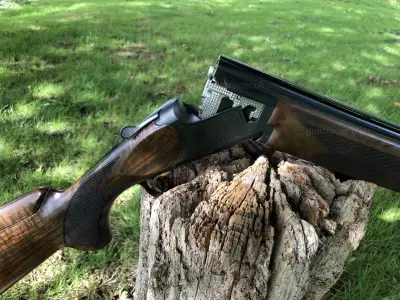 Gun Image 6