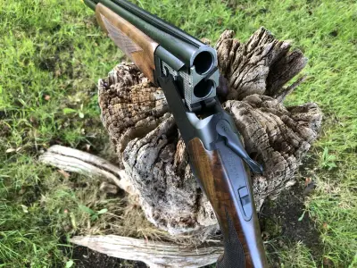 Gun Image 4