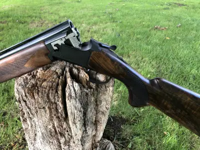 Gun Image 1