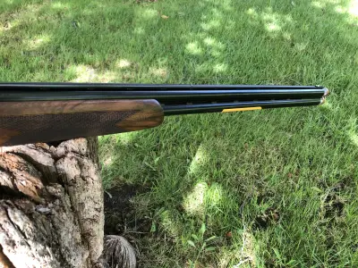 Gun Image 7