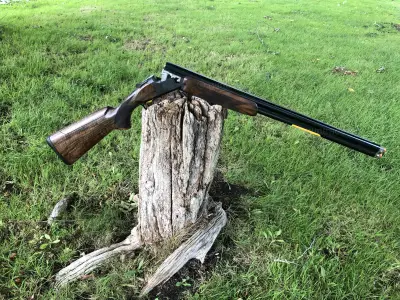 Gun Image 9